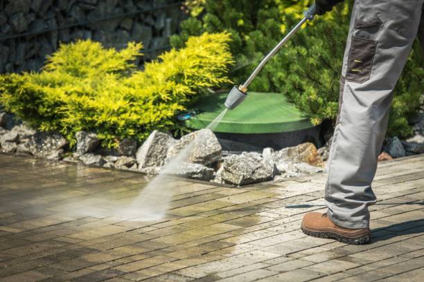Best Roof Washing  in Skidmore, TX
